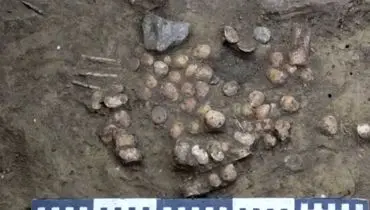 کشف بقایای یک بازی تخته‌ای بسیار کهن+تصاویر