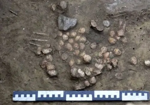 حملات بی رحمانه رژیم صهیونیستی به مکان های مخصوص کودکان تمامی ندارد+فیلم