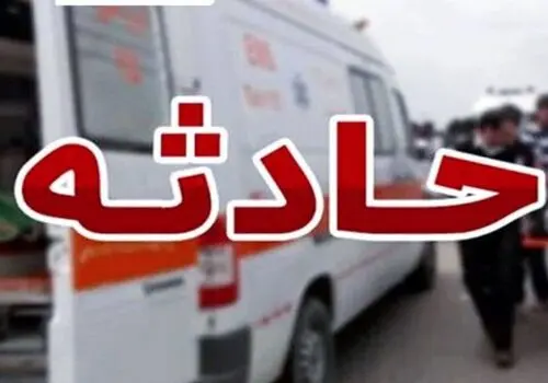 جزییات جدید از حادثه هاری در سبزوار/ چه کسانی در خطرند؟