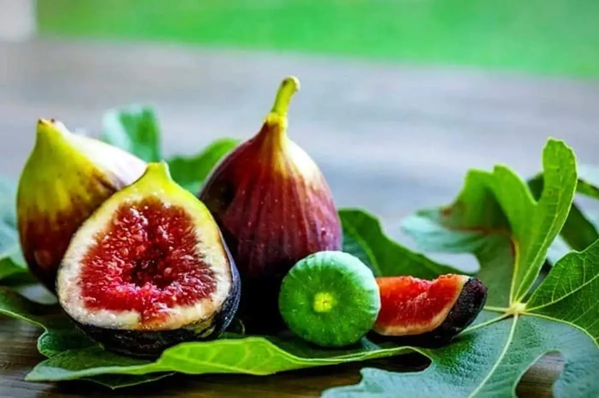 انجیر؛ میوهای کوچک با فوایدی بزرگ برای سلامت بدن