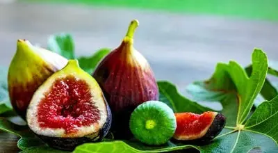 انجیر؛ میوه‌ای کوچک با فوایدی بزرگ برای سلامت بدن