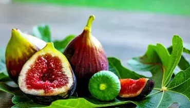 انجیر؛ میوه‌ای کوچک با فوایدی بزرگ برای سلامت بدن