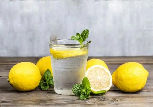 دیدار نماینده انصارالله با ولایتی؛ تأکید بر تقویت هماهنگی جبهه مقاومت
