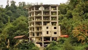  آیا «مهاجرت‌های جنگی» به استان‌های شمالی به «تشدید جنگل‌خواری» منجر می‌شود؟