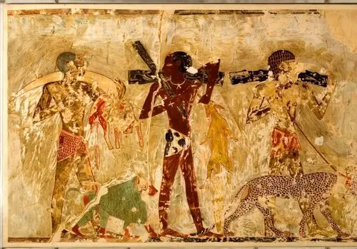 قایق‌های افسانه‌ای مصر باستان از دل تاریخ بیرون آمدند + عکس