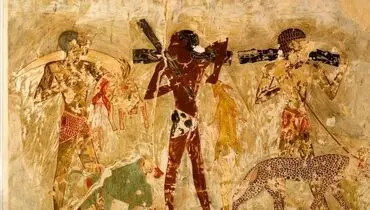 مصر باستان؛ مقبره‌ای با تصاویر شگفت‌انگیز از حیوانات آفریقایی + عکس