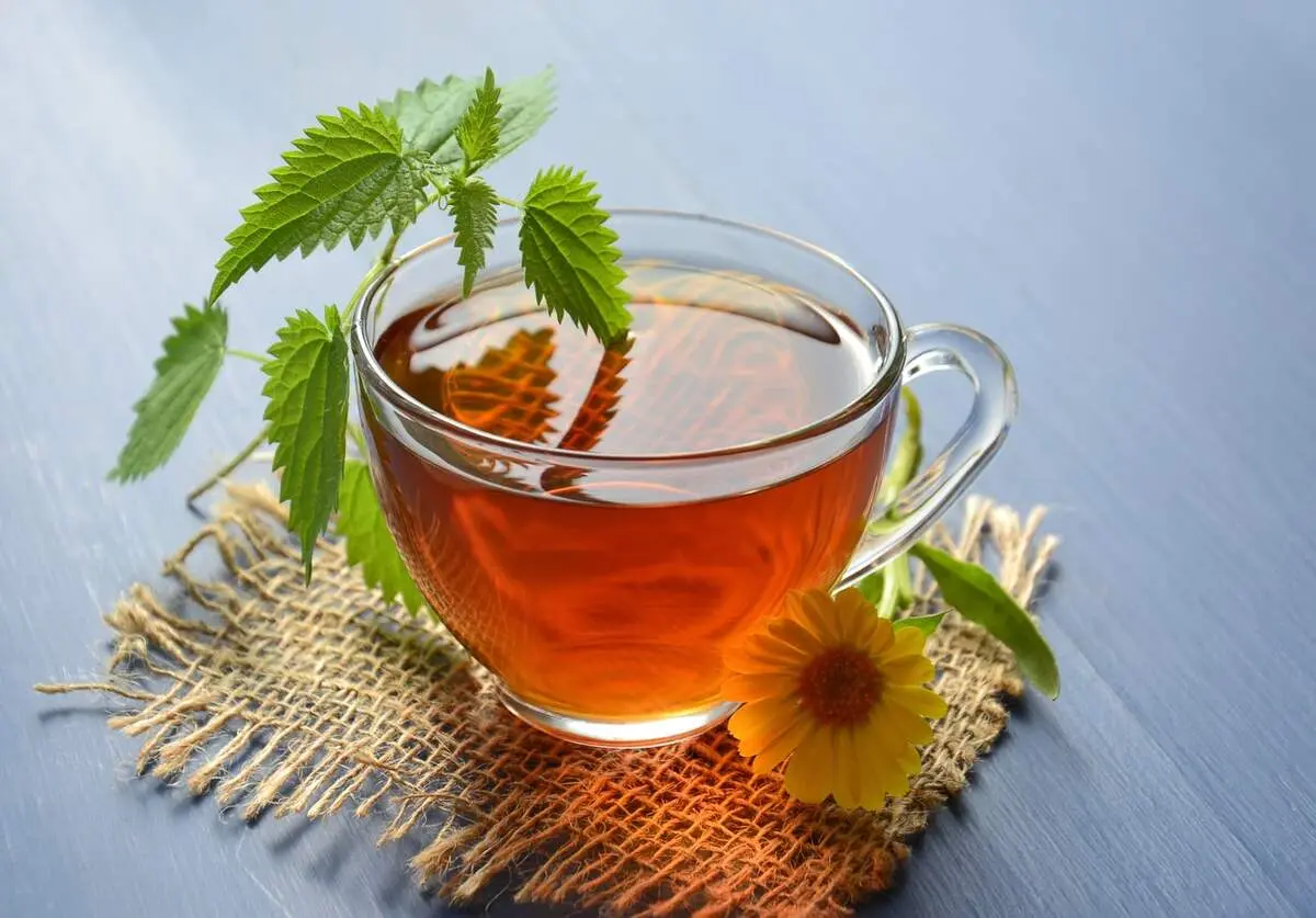 11 دمنوش گیاهی عالی برای آرامش اعصاب