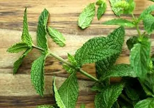 مصرف چای و کافئین در دوران بارداری خطرناک است؟