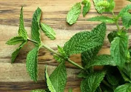 آموزش مرحله به مرحله تهیه نافله خوزستانی اصل