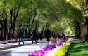 خیابان «چهارباغ» اصفهان در دوران قاجار؛ سال ۱۲۸۰ + عکس