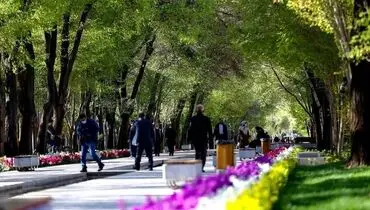 خیابان «چهارباغ» اصفهان در دوران قاجار؛ سال ۱۲۸۰ + عکس