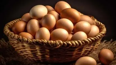 لیست غذاهای خوشمزه و اقتصادی که با تخم مرغ درست می شوند!