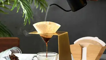 چگونه با فیلتر قهوه از ریشه گیاهان محافظت کنیم؟

