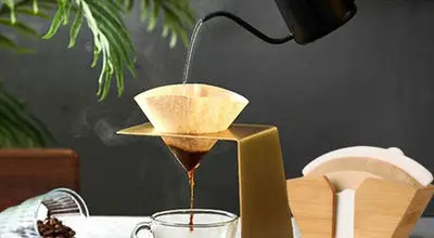 چگونه با فیلتر قهوه از ریشه گیاهان محافظت کنیم؟

