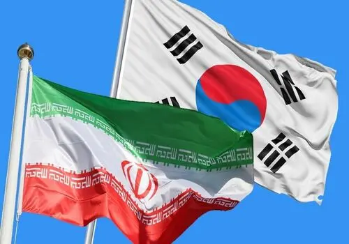 دلیل بدترین فاجعه هواپیمایی کره جنوبی چه بود؟!