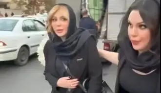 هویت واقعی بادیگارد نیوشا ضیغمی مشخص شد/ویدیو 
