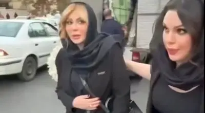 هویت واقعی بادیگارد نیوشا ضیغمی مشخص شد/ویدیو 