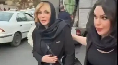 هویت واقعی بادیگارد نیوشا ضیغمی مشخص شد/ویدیو 