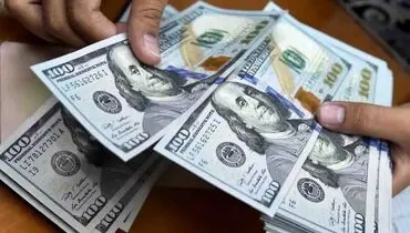 واکنش یک نماینده مجلس یه دلار ۶۰ هزار تومانی