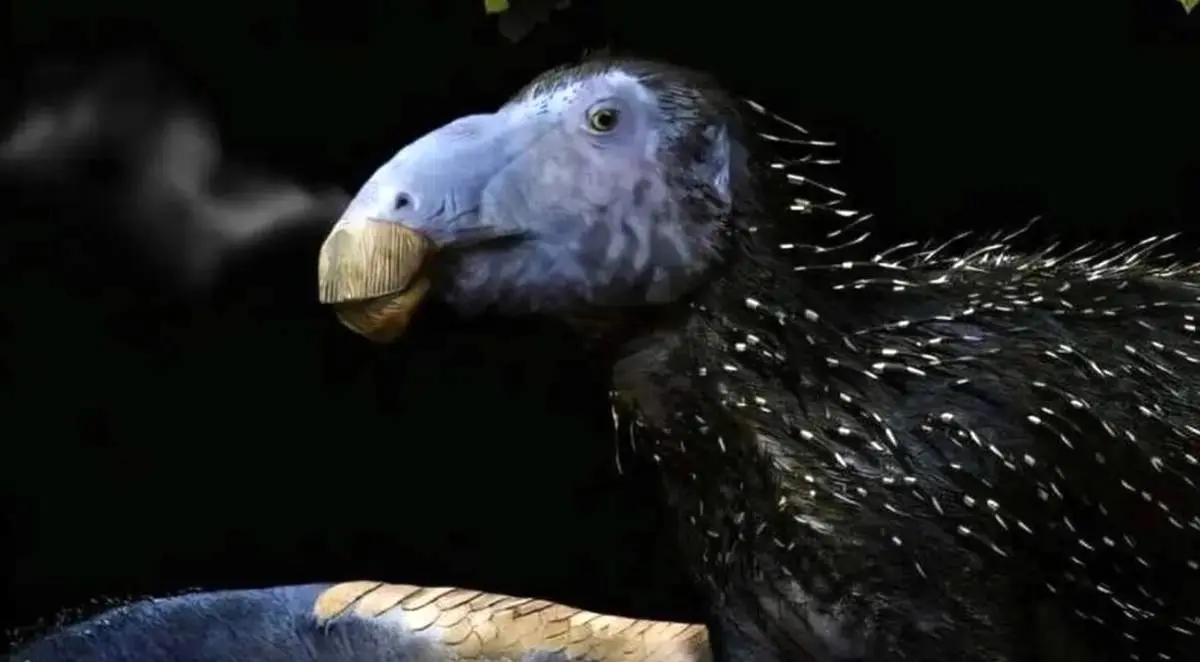 کشف هیولای خاردار ۱۲۵ میلیون ساله در چین