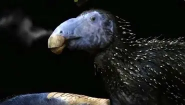 کشف هیولای خاردار ۱۲۵ میلیون ساله در چین