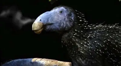 کشف هیولای خاردار ۱۲۵ میلیون ساله در چین