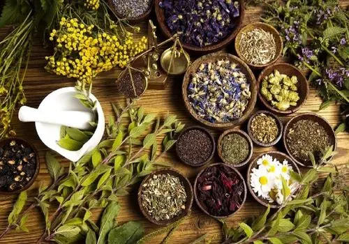 ۵ دمنوش عالی برای کاهش استرس و اضطراب