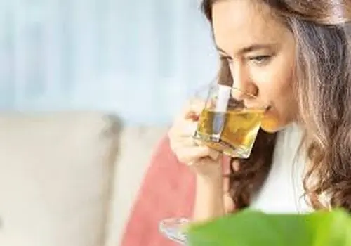 این گیاه تلخ برای ناراحتی معده فوق العاده است 
