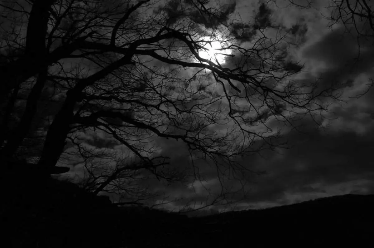 ترس از تاریکی چیست و شیوه مناسب درمان آن کدامست ؟
