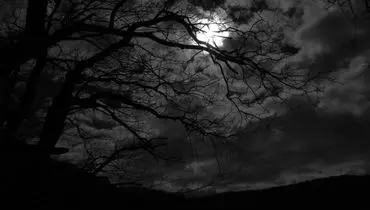 ترس از تاریکی چیست و شیوه مناسب درمان آن کدامست ؟
