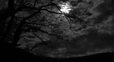 ترس از تاریکی چیست و شیوه مناسب درمان آن کدامست ؟
