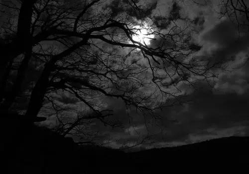 ترس از تاریکی چیست و شیوه مناسب درمان آن کدامست ؟
