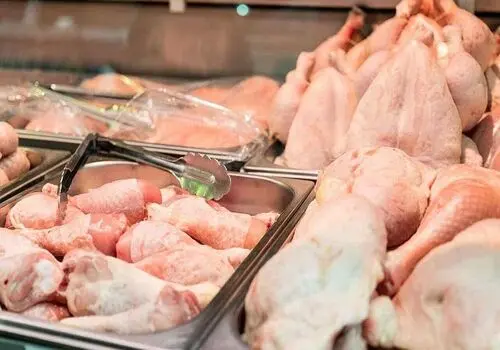 قیمت جدید مرغ در میادین تره‌بار | نرخ هر کیلو مرغ گرم اعلام شد