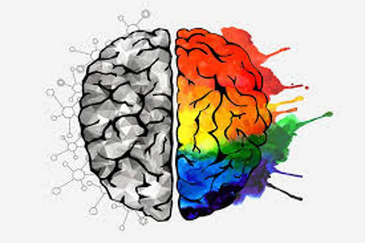 شهامت هیجانی چیست ؟
