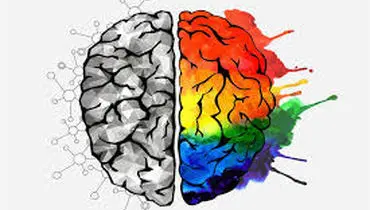 شهامت هیجانی چیست ؟
