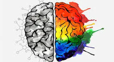 شهامت هیجانی چیست ؟
