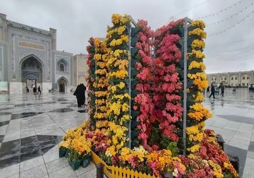 حرم امام رضا(ع) سیاه‌پوش شد