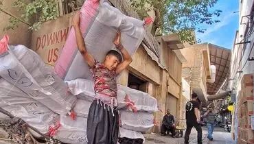 گاری‌چی‌های بازار تهران؛ درآمد روزانه یک دکتر در چهارچرخ‌های کوچک!