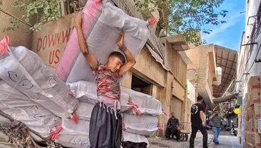 گاری‌چی‌های بازار تهران؛ درآمد روزانه یک دکتر در چهارچرخ‌های کوچک!