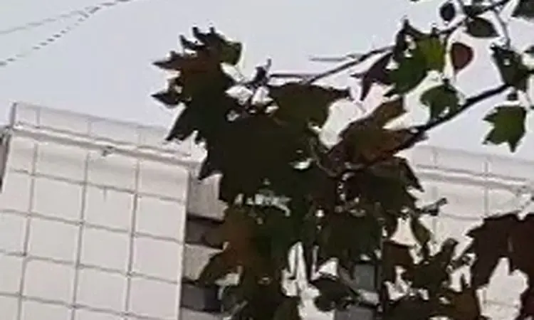 حرکت خطرناک دختر جوان در تهران روی سیم‌های بین ساختمان +فیلم