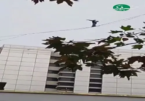 حرکت خطرناک دختر جوان در تهران روی سیم‌های بین ساختمان +فیلم