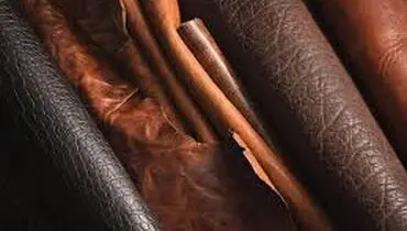 ویژگی های چرم بزی را بشناسید