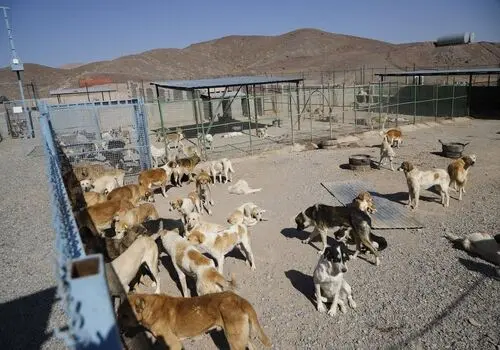  پاساژ علاءالدین تهران جابه جا می شود