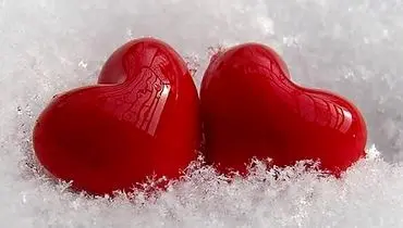 روانشناسی عشق: کدام گل، شخصیت عاشقانه‌ شما را نشان می‌دهد؟

