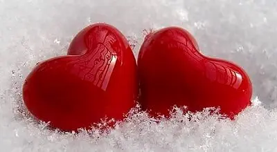 روانشناسی عشق: کدام گل، شخصیت عاشقانه‌ شما را نشان می‌دهد؟

