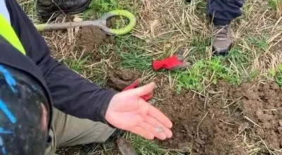 کشف گنجینه ای ارزشمند از سکه‌ها در هلند از ترس حملۀ وایکینگ‌ها + تصاویر