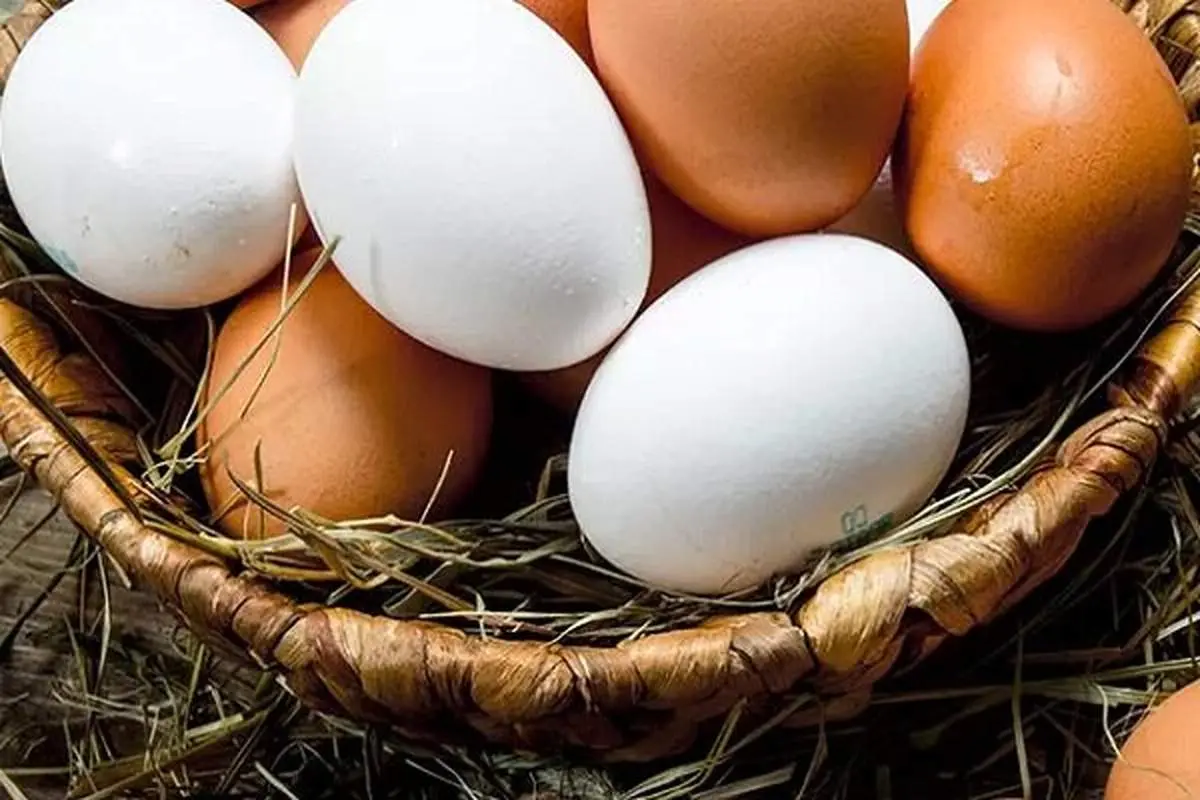خواص جالب پوست تخم مرغ برای سلامتی و خانهداری