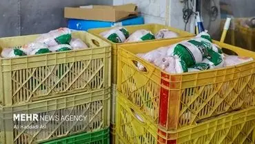 توزیع گوشت مرغ تنظیم بازار آغاز شد