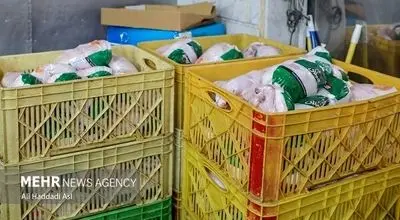 توزیع گوشت مرغ تنظیم بازار آغاز شد