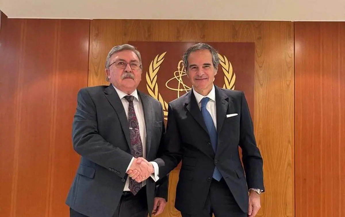 اولیانوف با گروسی درباره برنامه هسته‌ای ایران رایزنی کردند